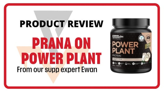 PRANA ON POWER PLANT