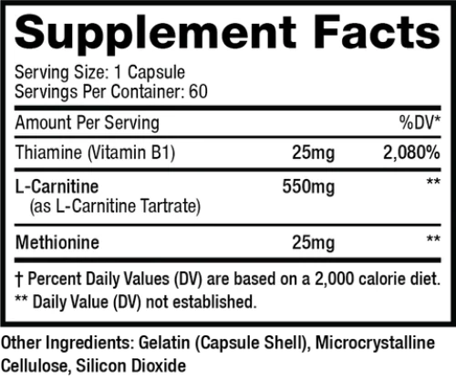 Muscle Sport L-Carnitine REVOLUTION